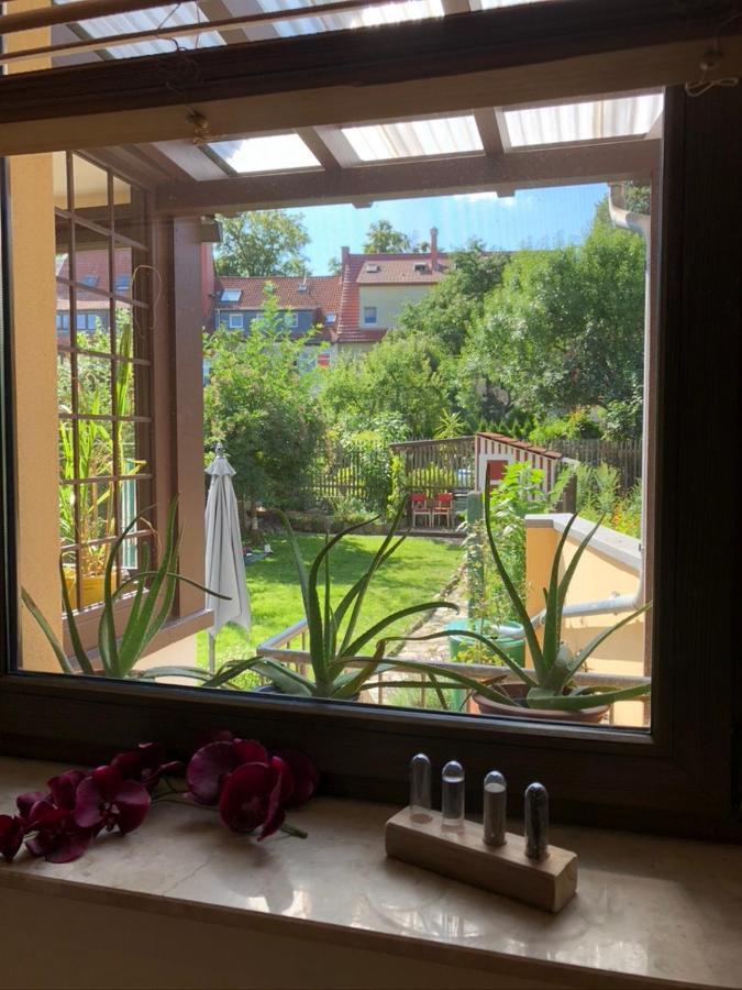 Ferienwohnung An Der Gruenen Clara แอร์ฟวร์ท ภายนอก รูปภาพ